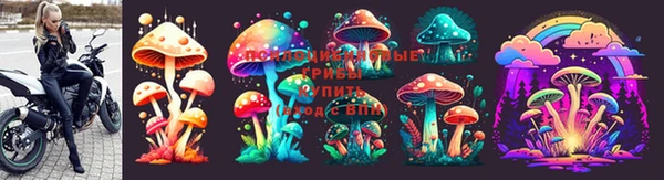 прущая мука Верея