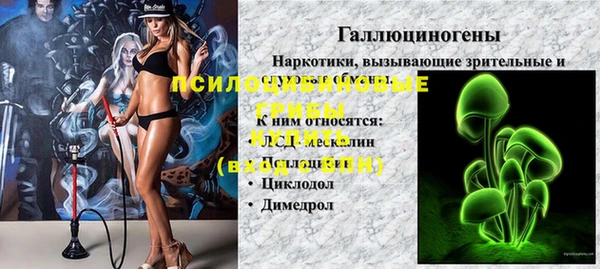 СК Володарск